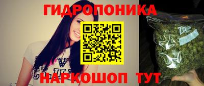 jwh Гусев
