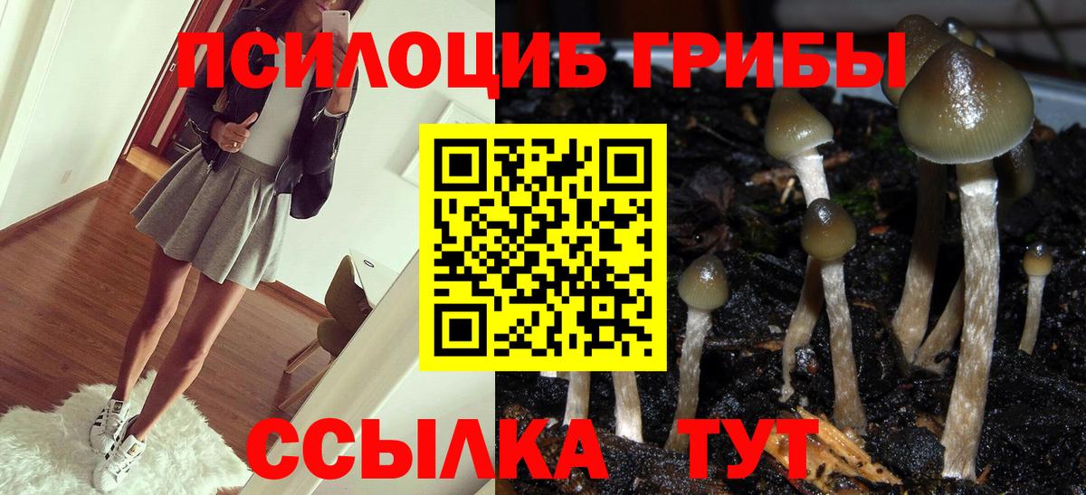Димитровград  Псилоцибиновые грибы ЛСД  Вход с VPN 